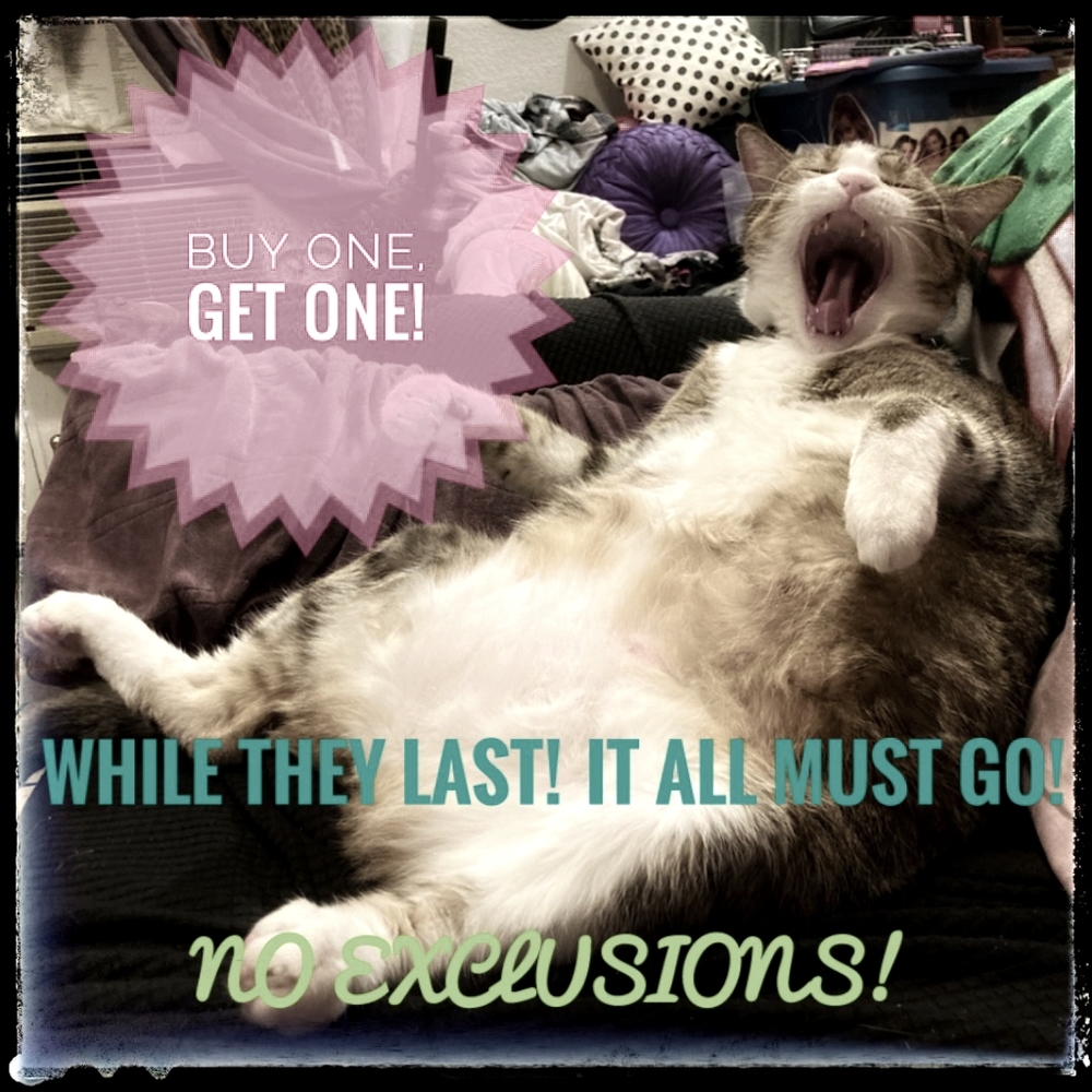 BOGO- WHOLE CLOSET!!!! MUST GO!